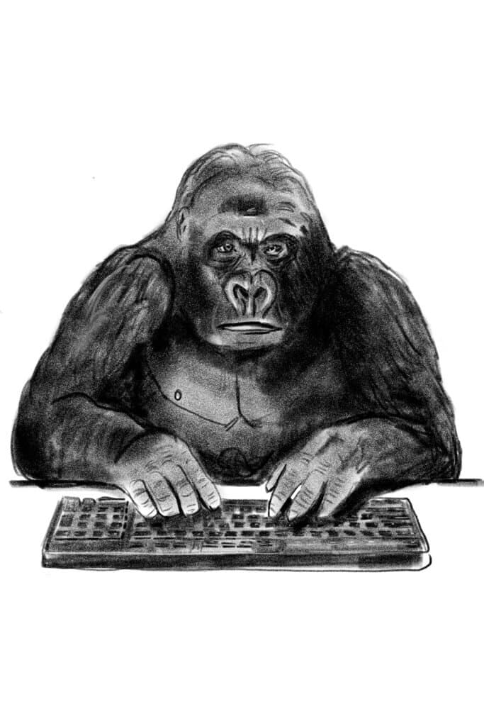 Code Gorilla