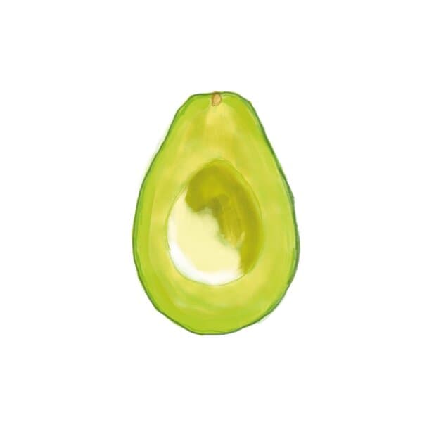 Avocado