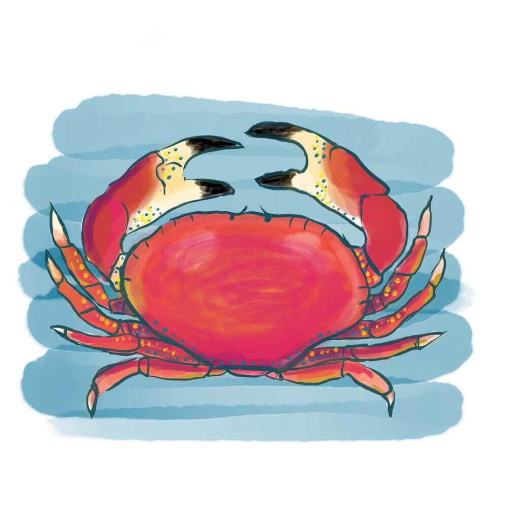 Krab